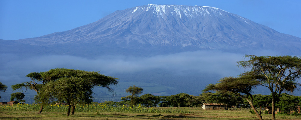 Kilomanjaro